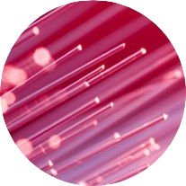 7e565247-9fa5-435f-b7f4-25f878450fea 7e565247-9fa5-435f-b7f4-25f878450fea